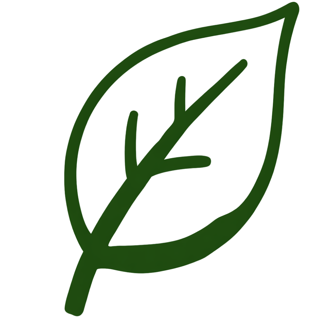 vegies